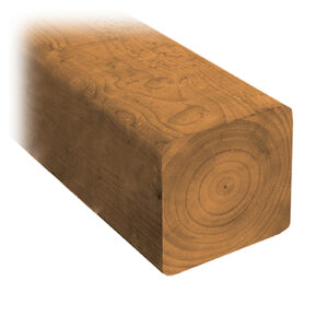 Sienna MicroPro Treated Lumber 4 by 4
