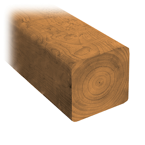 Sienna MicroPro Treated Lumber 4 by 4