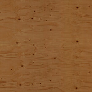 Treated Plywood