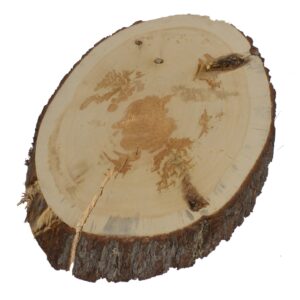 Live Edge Oval Slab
