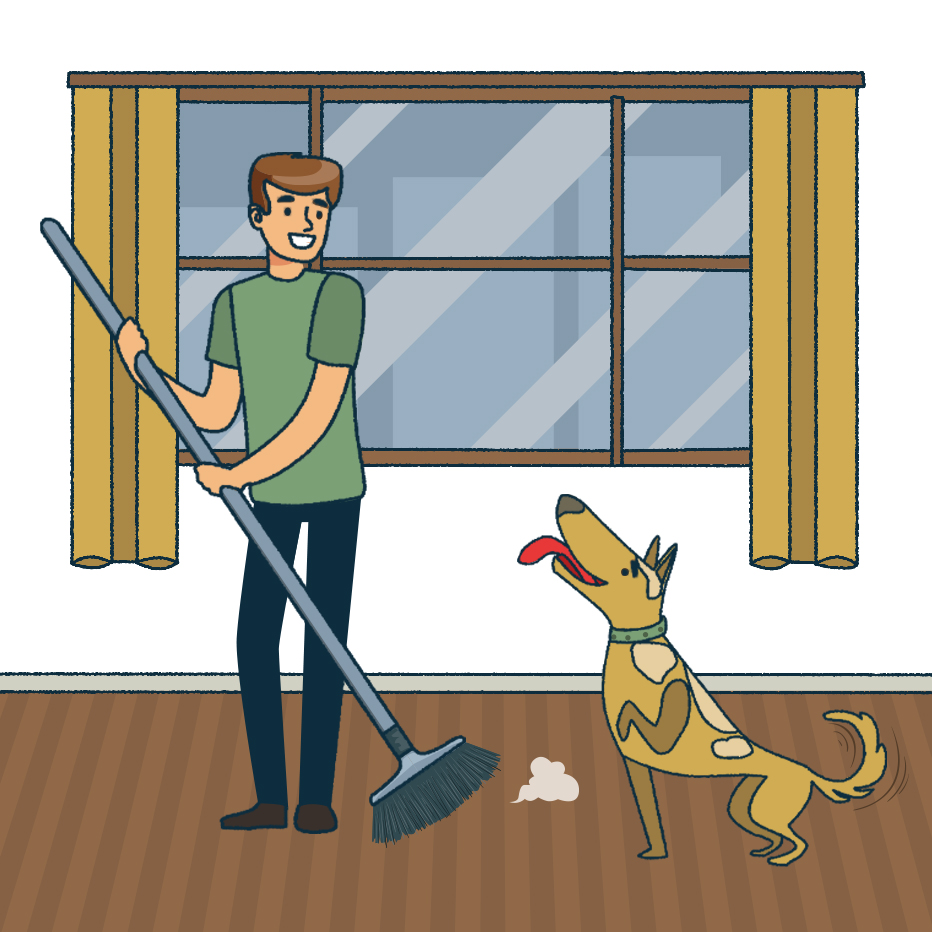 Featured image for “Best Floor for a Pet”