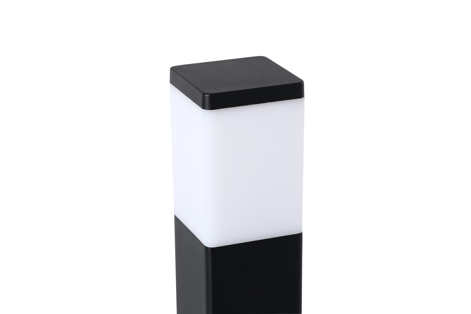 BOLD Cube Low