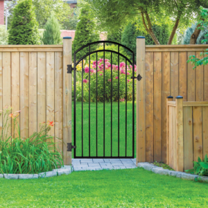 Nuvo Iron Benitoite Iron Gate