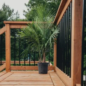 32″ Round Balusters (30 pcs) with Connectors for Deck Railings