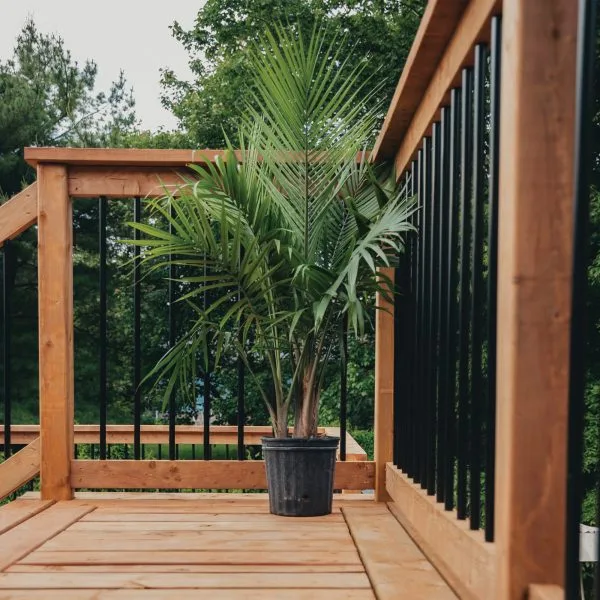32″ Round Balusters (30 pcs) with Connectors for Deck Railings