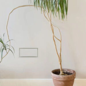 Framed Wall Vent [Luxe]