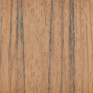 Trex Golden Hour Decking